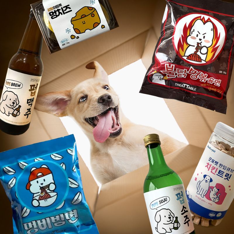 Sharing Korean food moments with your dog