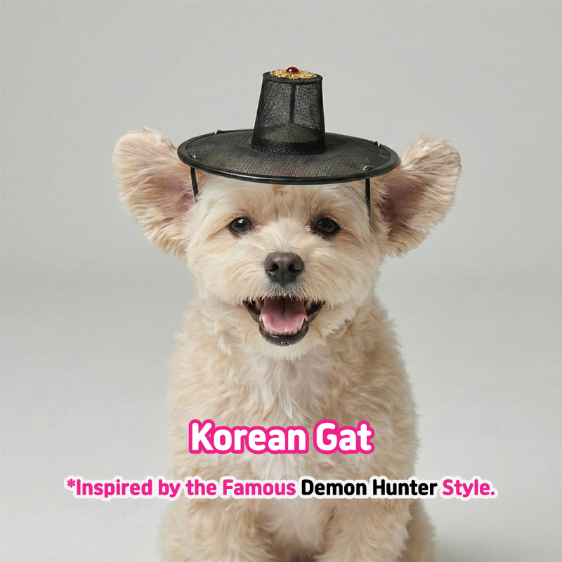 Traditional Korean gat hat for dogs - front view with red ornament