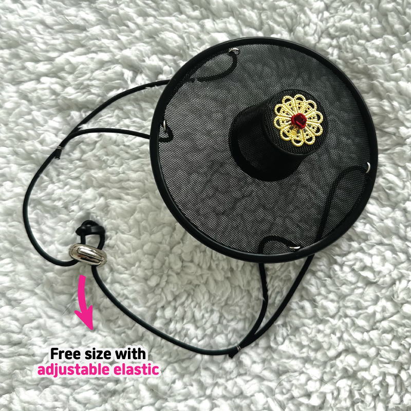 Dog wearing traditional Korean gat hat - lifestyle shot