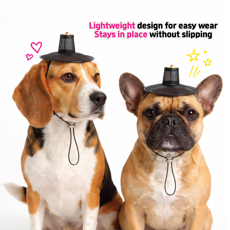 Traditional gat hat for dogs - packaging and product display