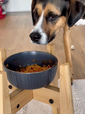 Taste-tested by Resy, the founding dog.