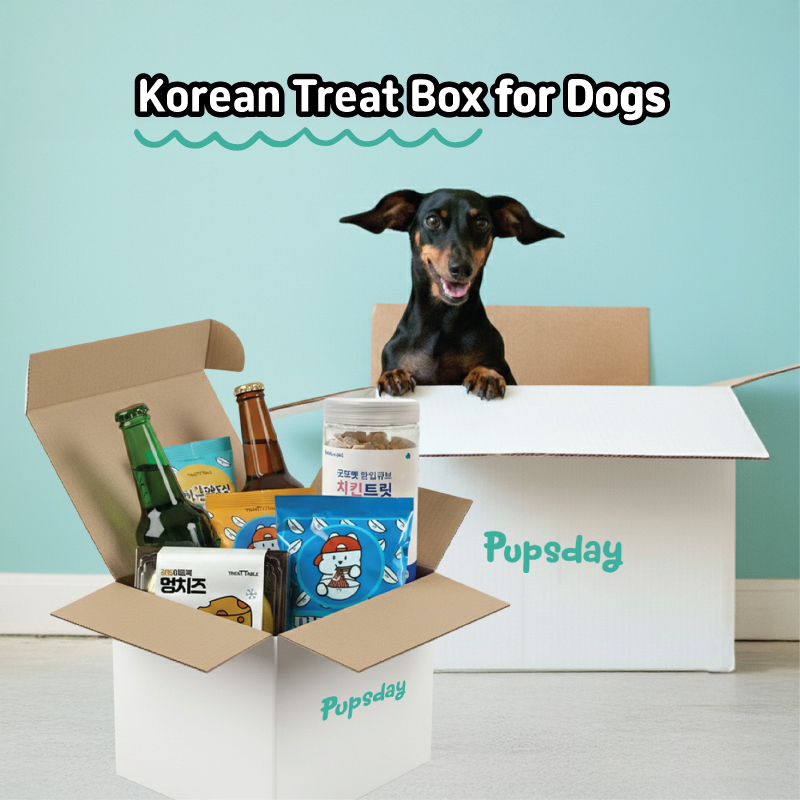 Korean dog treat box with premium treats from Korea - Pupsday subscription