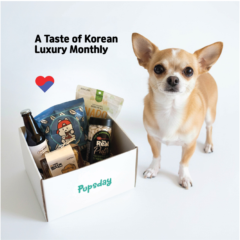 Korean dog treats showcasing quality and variety