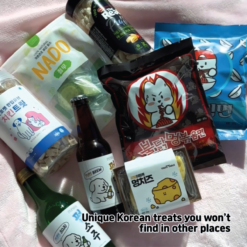 Pupsday Korean treat box packaging showing authentic Korean dog treats