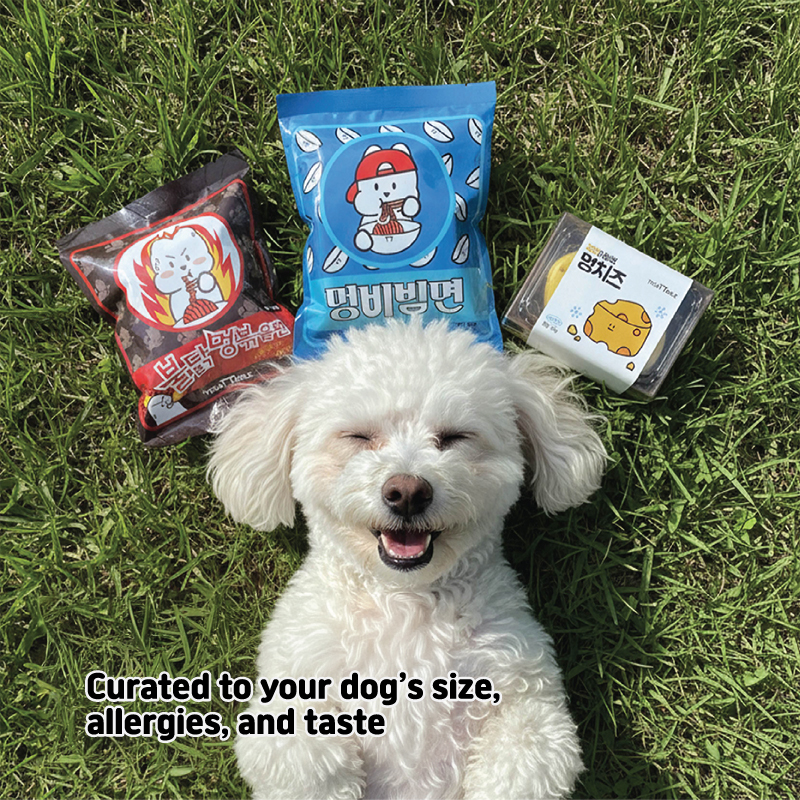 Korean dog treat box display - curated selection of premium treats