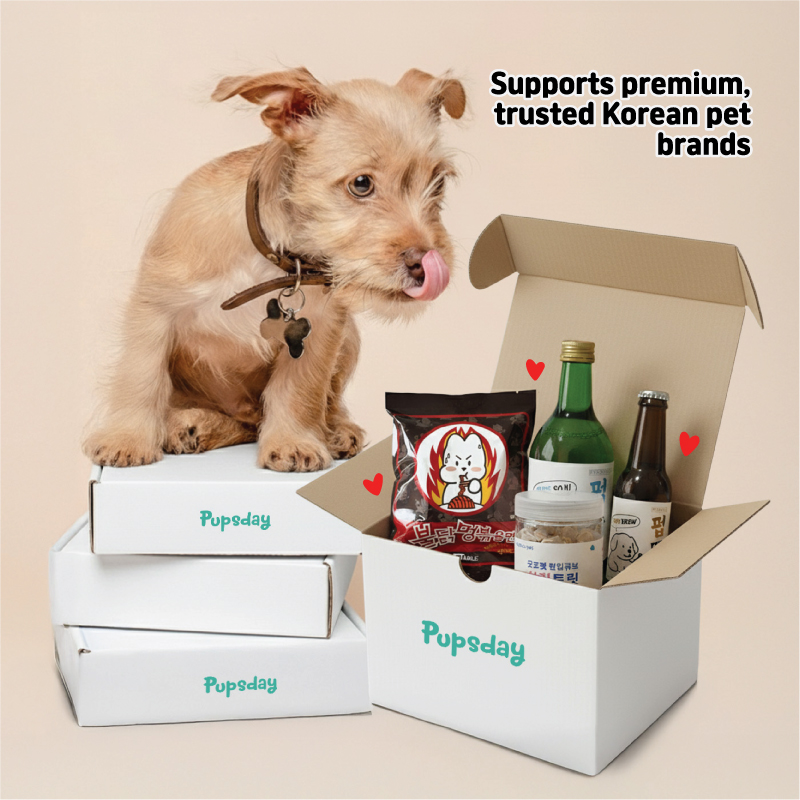 Korean treat box lifestyle shot - monthly dog subscription from Pupsday